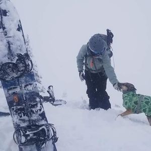 Meet your Posher, Rachelle